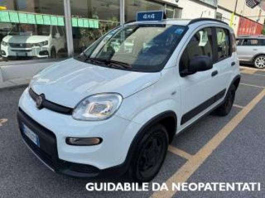 usato FIAT Panda