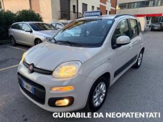 usato FIAT Panda
