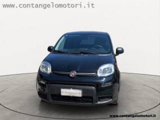 usato FIAT Panda