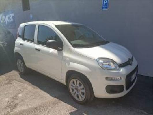 usato FIAT Panda