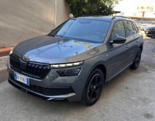 usato SKODA Kamiq