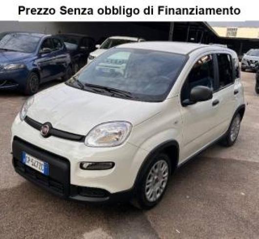 usato FIAT Panda