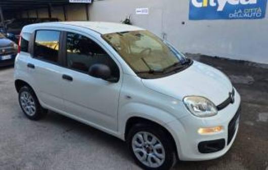 usato FIAT Panda
