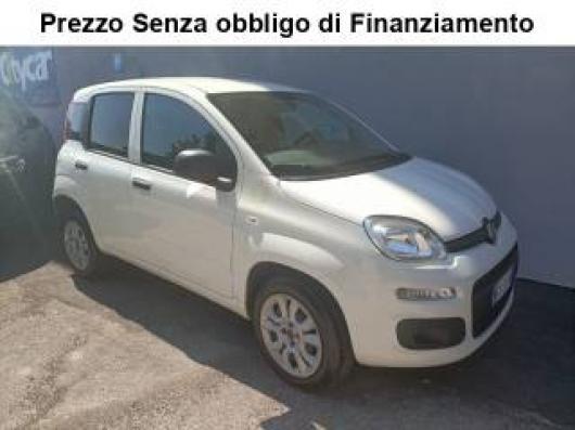 usato FIAT Panda