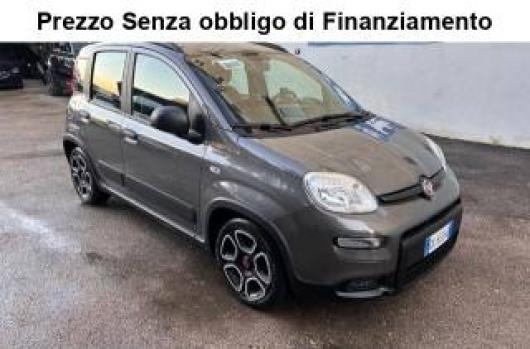 usato FIAT Panda