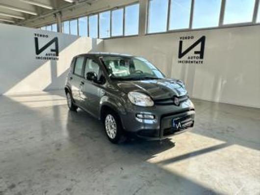 usato FIAT Panda