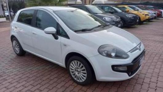 usato FIAT Punto Evo