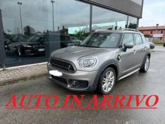 usato MINI Countryman