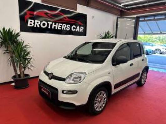 usato FIAT Panda