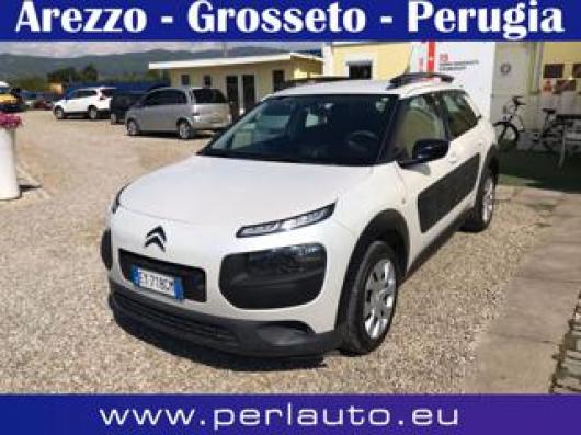 C4 Cactus