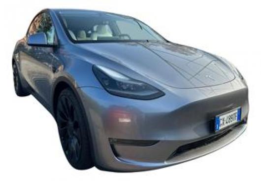 usato TESLA Model Y