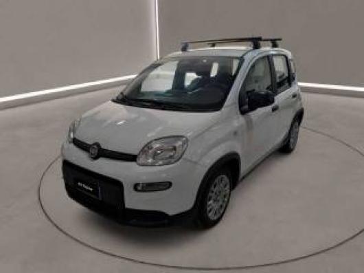 usato FIAT Panda
