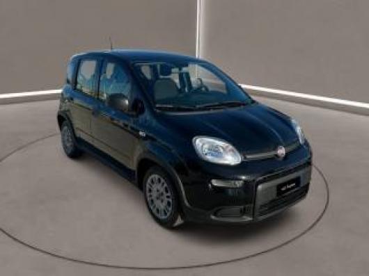 usato FIAT Panda