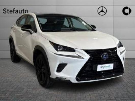 usato LEXUS NX 300