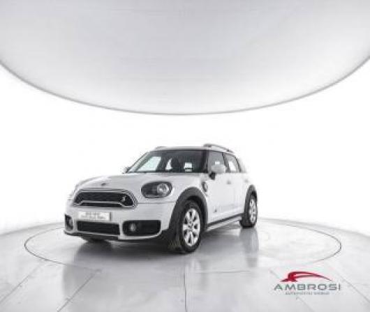 usato MINI Countryman