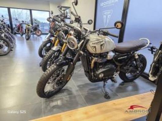 nuovo TRIUMPH Scrambler