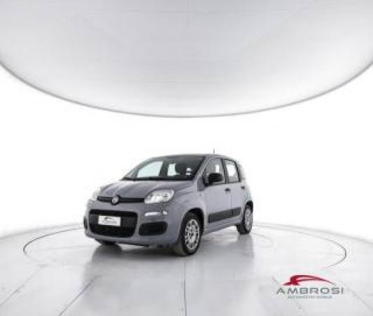 usato FIAT Panda