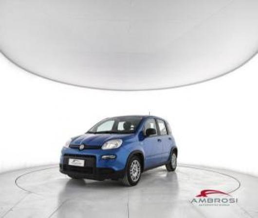usato FIAT Panda
