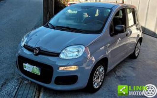 usato FIAT Panda