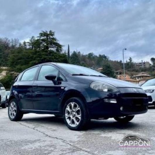 usato FIAT Punto