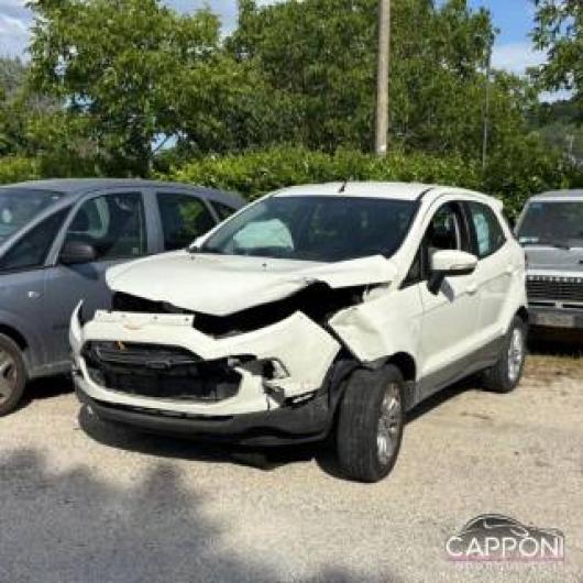 usato FORD EcoSport
