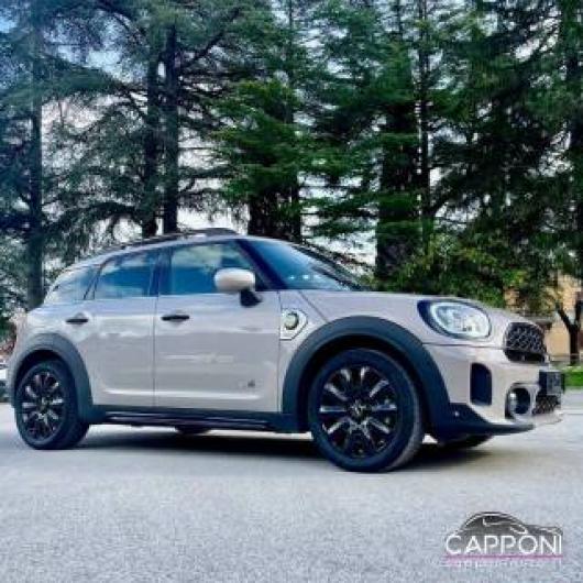 usato MINI Countryman