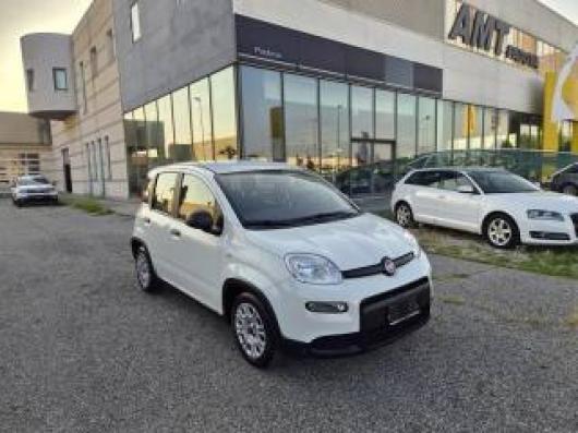 usato FIAT Panda