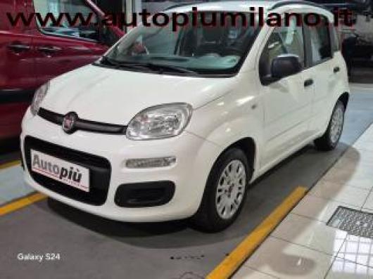 usato FIAT Panda