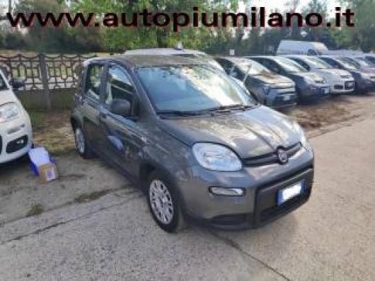 usato FIAT Panda