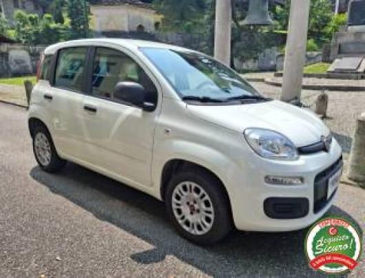 usato FIAT Panda