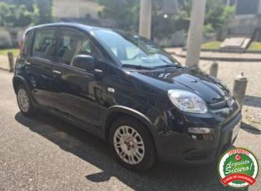 usato FIAT Panda