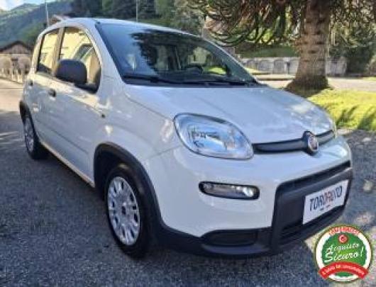 usato FIAT Panda