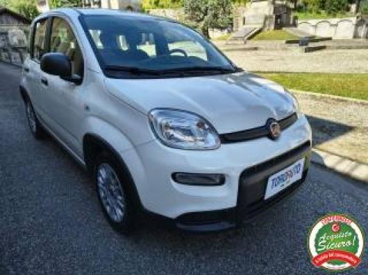 usato FIAT Panda