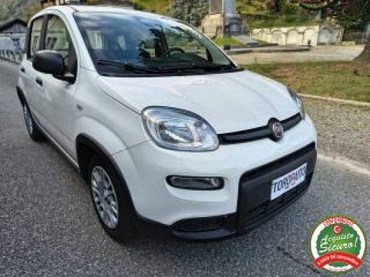usato FIAT Panda