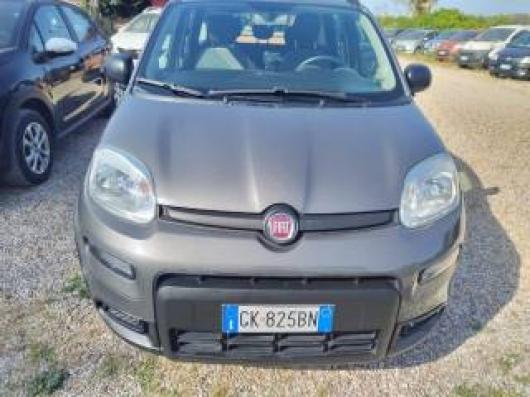 usato FIAT Panda