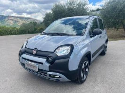 usato FIAT Panda Cross