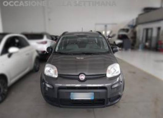 usato FIAT Panda