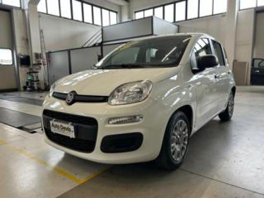 usato FIAT Panda