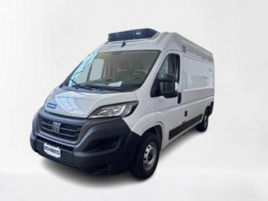 usato FIAT Ducato