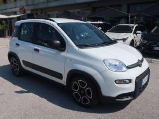 Panda