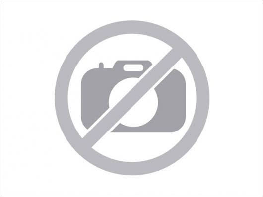 A3