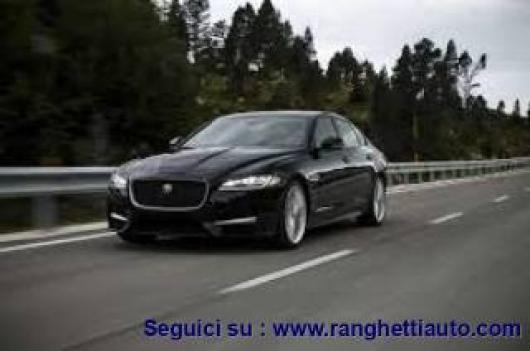 XF