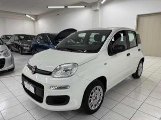 usato FIAT Panda