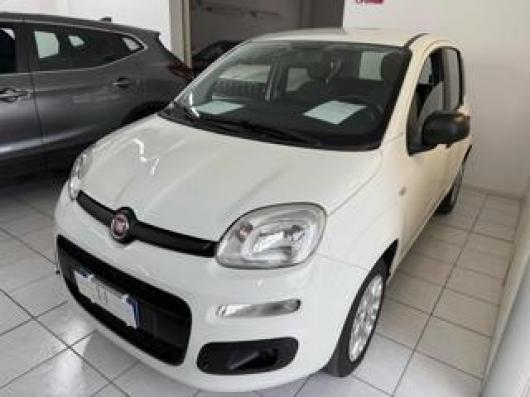 usato FIAT Panda