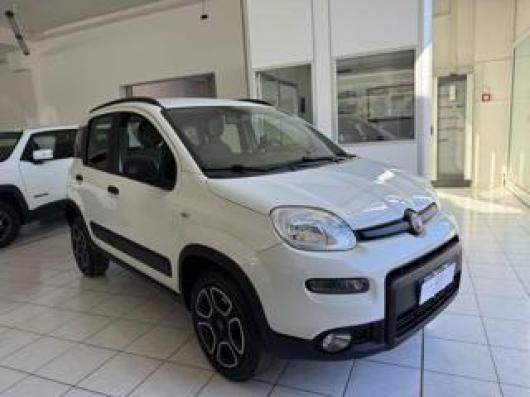 usato FIAT Panda