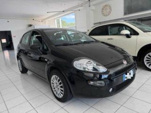 usato FIAT Punto