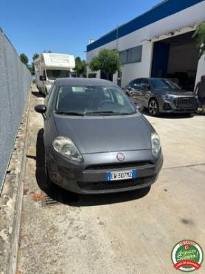 usato FIAT Punto
