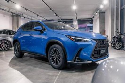 usato LEXUS NX 350h