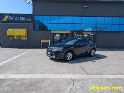 usato LEXUS UX 250h