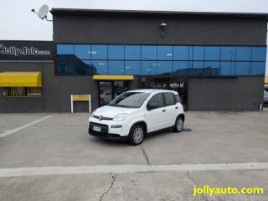 usato FIAT Panda